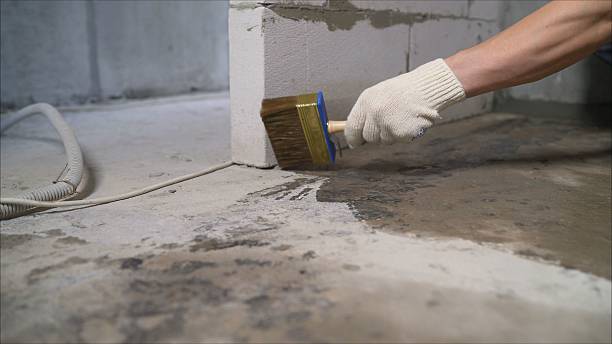 24/7 Emergency Wet Basement Repair experts in Greenwood, IN